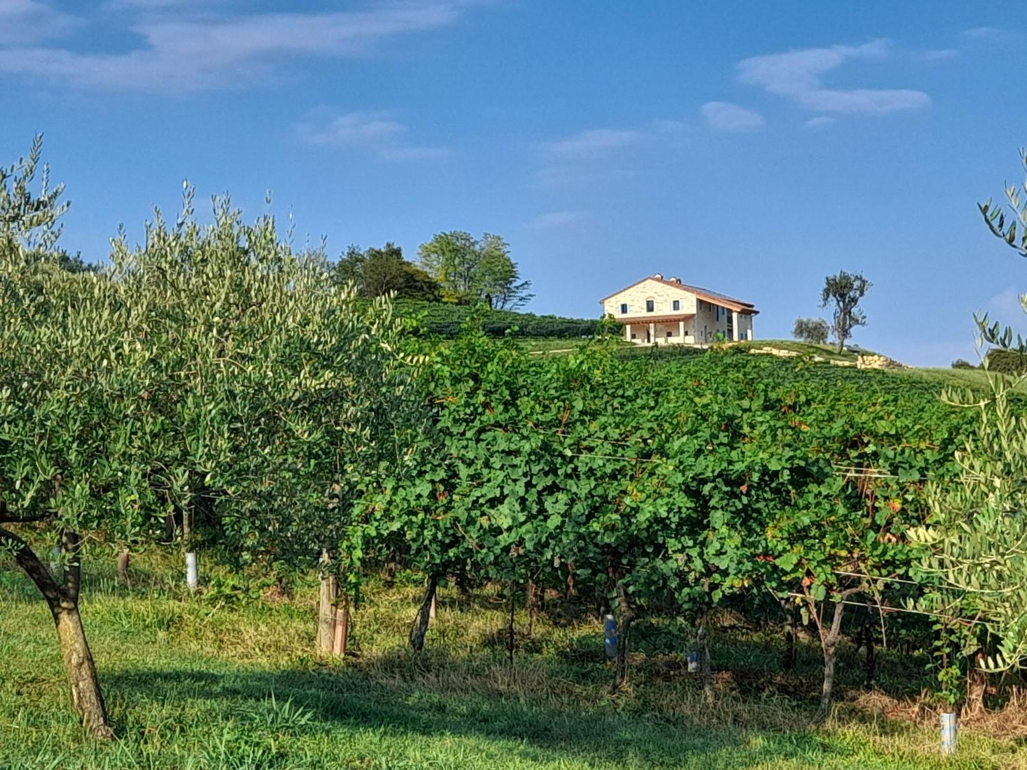 Agriturismo Riva Beata Cavaso Del Tomba Luaran gambar