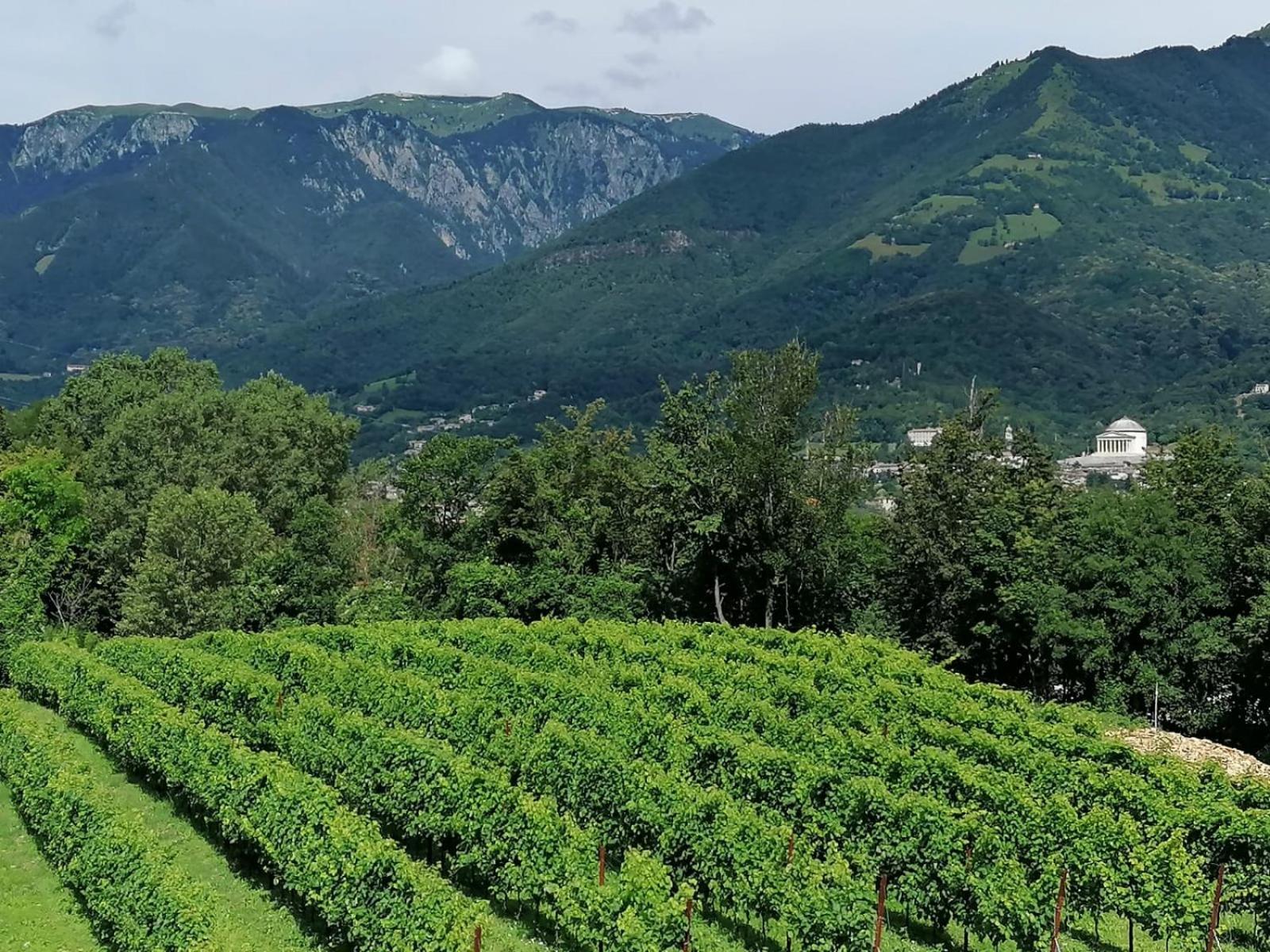 Agriturismo Riva Beata Cavaso Del Tomba Luaran gambar